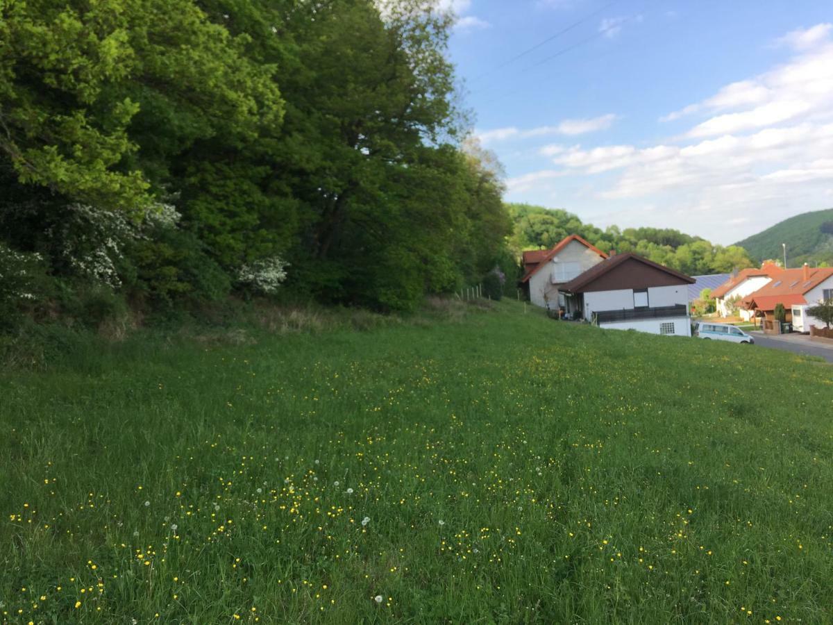 Ferienhaus Moscheltal Villa Waldgrehweiler Bagian luar foto